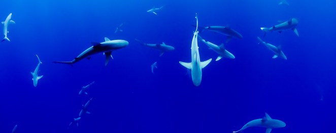 jakob-owens-dO8qMqWimo8-unsplash